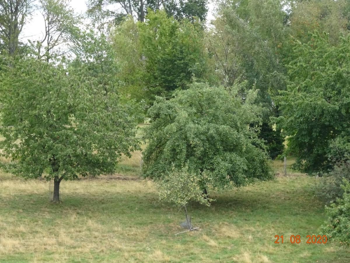 Ferienwohnung Lohrer Nideggen Εξωτερικό φωτογραφία